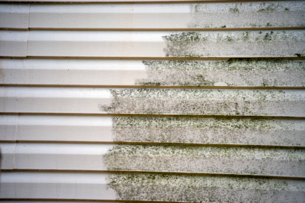 Best Storm Damage Siding Repair  in Newfoundland, NJ